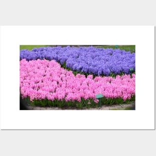 Keukenhof Gardens, The Netherlands Posters and Art